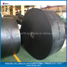 Good Quality Nylon Conveyor Bellt for Exporting